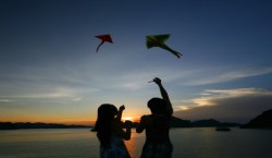 emotion halong cruise
